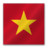 Vietnam flag Icon